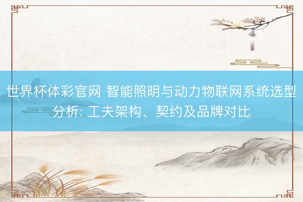 世界杯体彩官网 智能照明与动力物联网系统选型分析: 工夫架构、契约及品牌对比