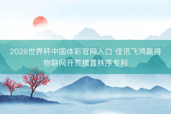 2026世界杯中国体彩官网入口 佳讯飞鸿赢得物联网开荒措置秩序专利