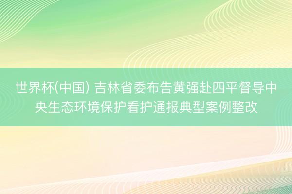 世界杯(中国) 吉林省委布告黄强赴四平督导中央生态环境保护看护通报典型案例整改