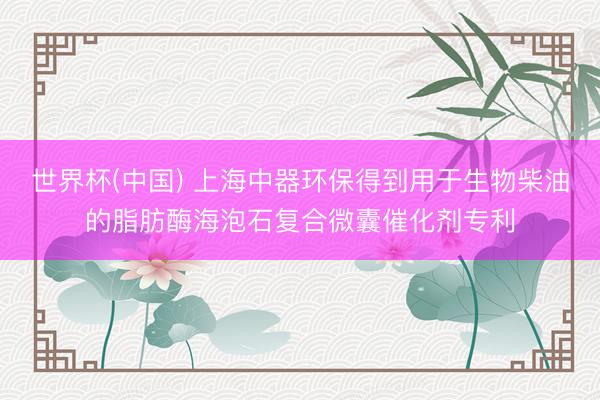 世界杯(中国) 上海中器环保得到用于生物柴油的脂肪酶海泡石复合微囊催化剂专利