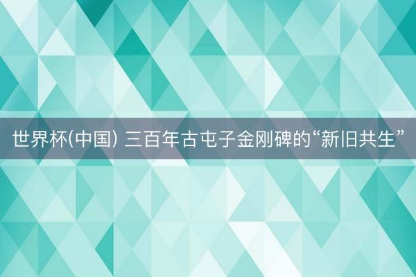 世界杯(中国) 三百年古屯子金刚碑的“新旧共生”
