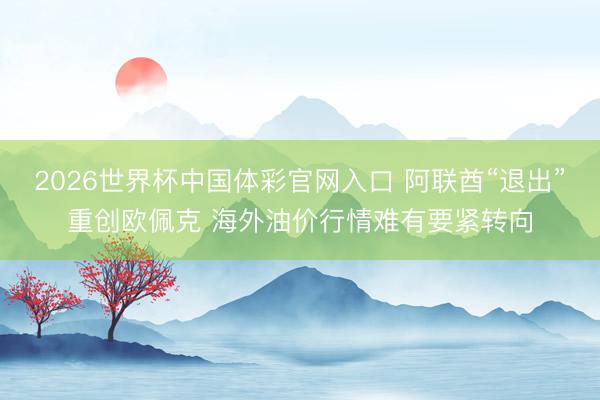 2026世界杯中国体彩官网入口 阿联酋“退出”重创欧佩克 海外油价行情难有要紧转向