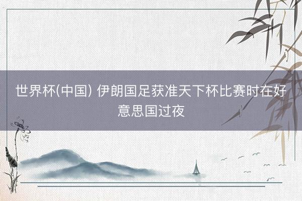 世界杯(中国) 伊朗国足获准天下杯比赛时在好意思国过夜