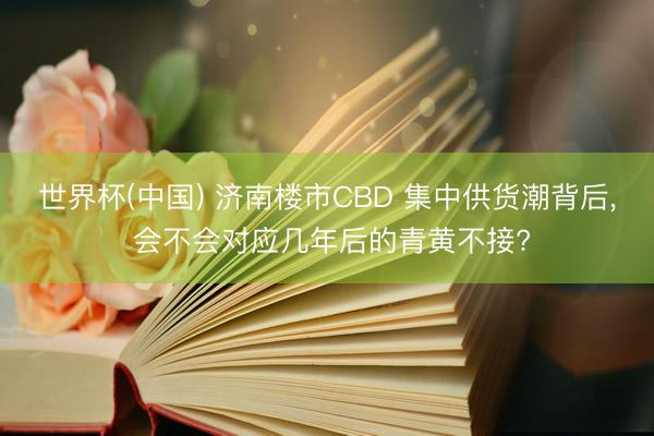 世界杯(中国) 济南楼市CBD 集中供货潮背后， 会不会对应几年后的青黄不接?