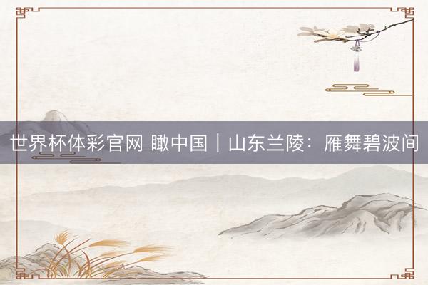 世界杯体彩官网 瞰中国｜山东兰陵：雁舞碧波间